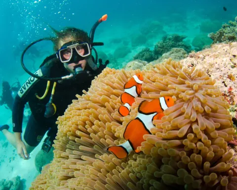 Underwater Diving Tour in Side